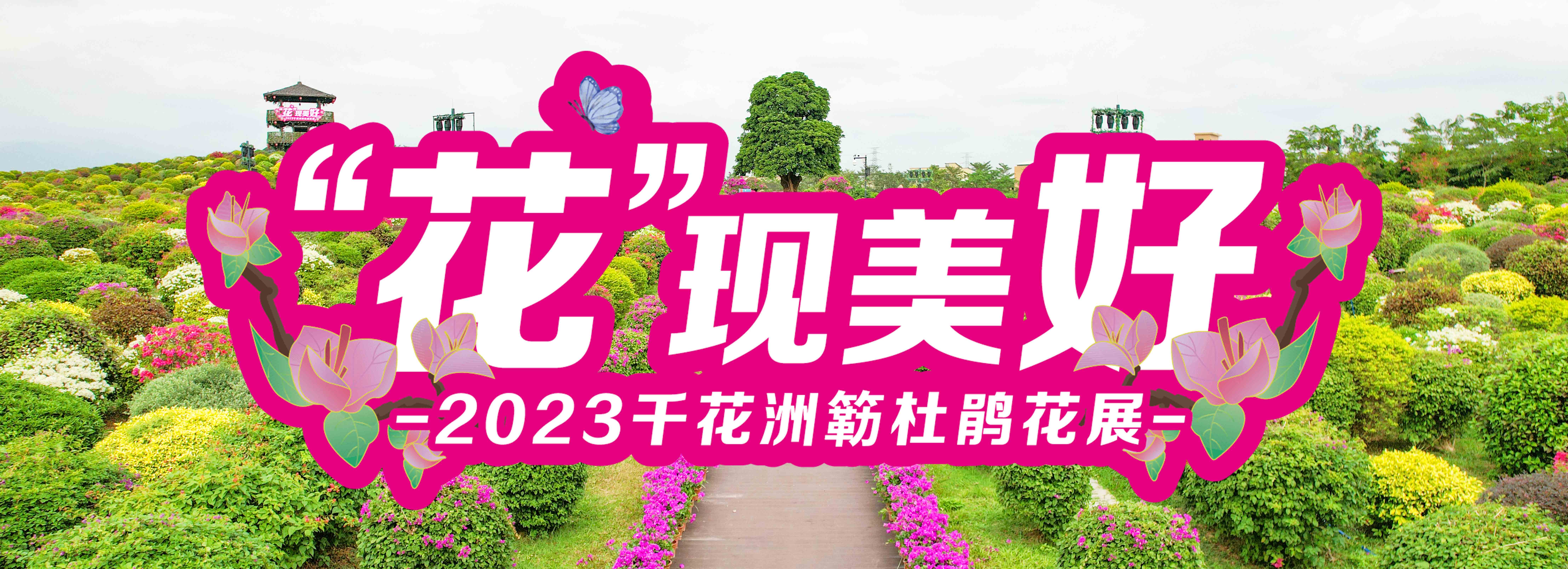 門(mén)票特價(jià)19.9元起！惠州千花洲首屆簕杜鵑花展來(lái)了，邀您打卡十萬(wàn)方醉美花海！